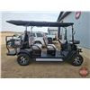 Image 4 : SDLANCH 2026 Electric 6-Seater Golf Cart (Black) : SDLC100
