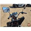 Image 12 : SDLANCH 2026 Electric Tricycle - Cargo : ET13 (Black)