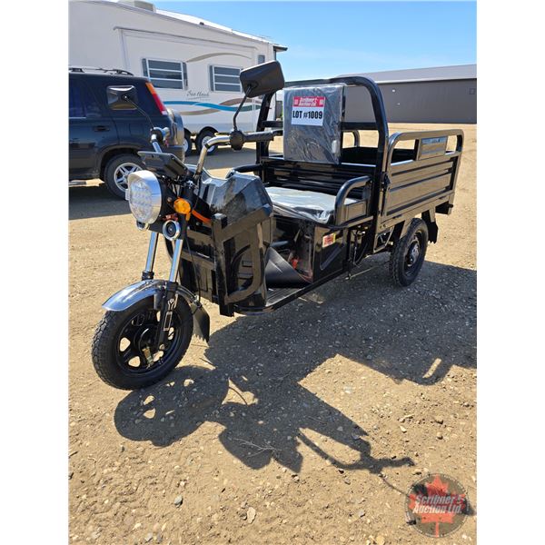 SDLANCH 2026 Electric Tricycle - Cargo : ET13 (Black)