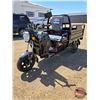 Image 1 : SDLANCH 2026 Electric Tricycle - Cargo : ET13 (Black)