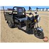 Image 3 : SDLANCH 2026 Electric Tricycle - Cargo : ET13 (Black)