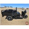 Image 4 : SDLANCH 2026 Electric Tricycle - Cargo : ET13 (Black)