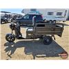 Image 8 : SDLANCH 2026 Electric Tricycle - Cargo : ET13 (Black)