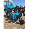 Image 13 : SDLANCH 2026 Electric Tricycle - Cargo : ET13 (Blue)