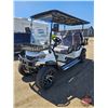Image 1 : SDLANCH 2026 Electric 6-Seater Golf Cart (White) : SDLC100