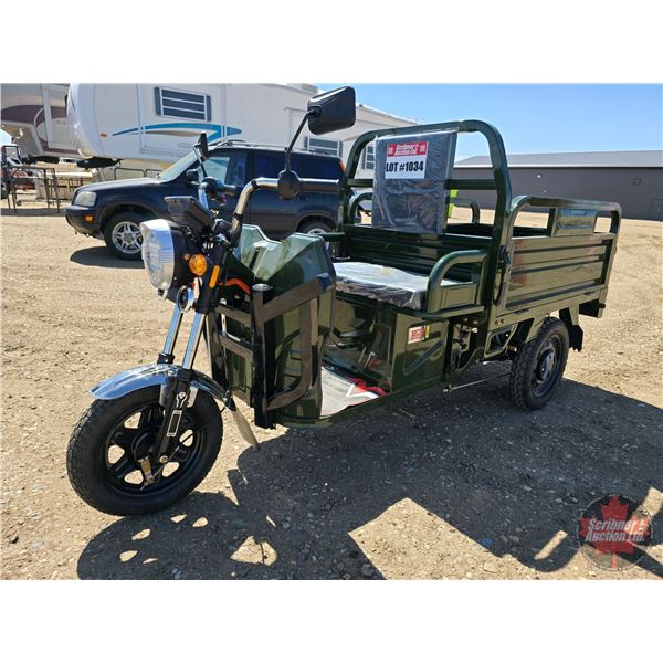 SDLANCH 2026 Electric Tricycle - Cargo : ET13 (Green)