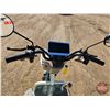 Image 12 : SDLANCH 2026 Mini Electric Golf Cart : IRGC40 (Green) (3-Wheel)