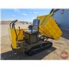 Image 1 : SDLANCH 2026 Ride On Crawler Dumper : CD25 (New/Unused)