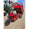 Image 15 : SDLANCH 2026 Electric Tricycle - Cargo : ET13 (Red)