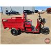 Image 2 : SDLANCH 2026 Electric Tricycle - Cargo : ET13 (Red)
