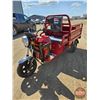 Image 7 : SDLANCH 2026 Electric Tricycle - Cargo : ET13 (Red)