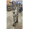 Image 4 : Yeats Appliance Dolly
