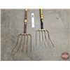 Image 2 : Pitch Forks (2)