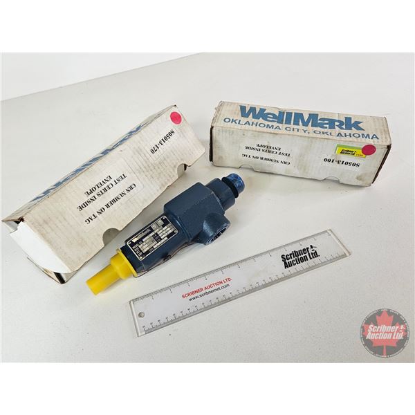 Well Mark 1" Safety Release Valves (2)