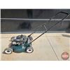 Image 5 : Craftsman 6.0hp Push Mower (21" Cut)