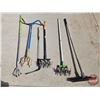 Image 1 : Long Handled Gardening Tools (6) : Thatch Rake, Rotary Cultivators (2), Garden Claw, 5 Tine Cultivat