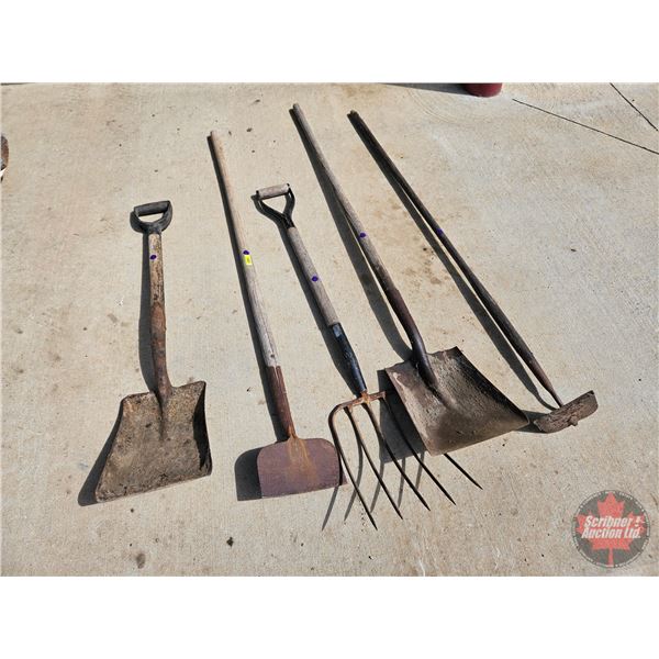 Long Handled Tools (5) : Shovels (2), Pitch Fork, Scraper & Hoe