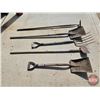 Image 2 : Long Handled Tools (5) : Shovels (2), Pitch Fork, Scraper & Hoe