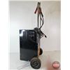 Image 7 : Solar Fleet 670 Battery Charger & Engine Starter