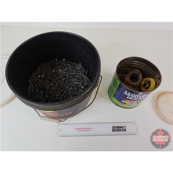 Bright Fencing Staples (1-3/4") & Pintle Rings