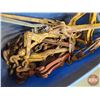 Image 2 : Boomers (9), Come-a-long & Chain