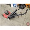 Image 5 : Lawnmower : TURF-POWER : BRIGGS & STRATTON 3.5