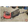 Image 6 : Lawnmower : TURF-POWER : BRIGGS & STRATTON 3.5