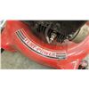 Image 7 : Lawnmower : TURF-POWER : BRIGGS & STRATTON 3.5
