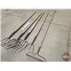 Image 5 : Long Handle Tool Grouping: Pitchforks & Rake