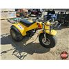 Image 1 : TRIKE: Yamaha 200E (Yellow)