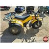 Image 2 : TRIKE: Yamaha 200E (Yellow)