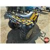Image 3 : TRIKE: Yamaha 200E (Yellow)