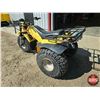 Image 6 : TRIKE: Yamaha 200E (Yellow)