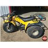 Image 7 : TRIKE: Yamaha 200E (Yellow)