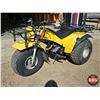 Image 8 : TRIKE: Yamaha 200E (Yellow)