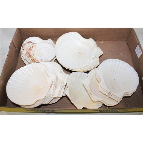 VINTAGE STUFFED SCALLOP SHELLS- BOX LOT