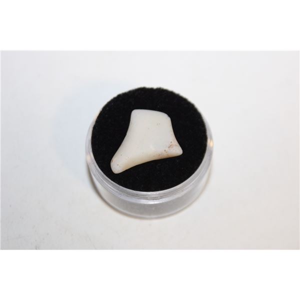 3.85 CTS ROUGH WHITE OPAL GEMSTONE