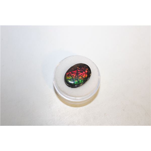 11.55 CTS TOTAL WEIGHT AMMOLITE GEMSTONE