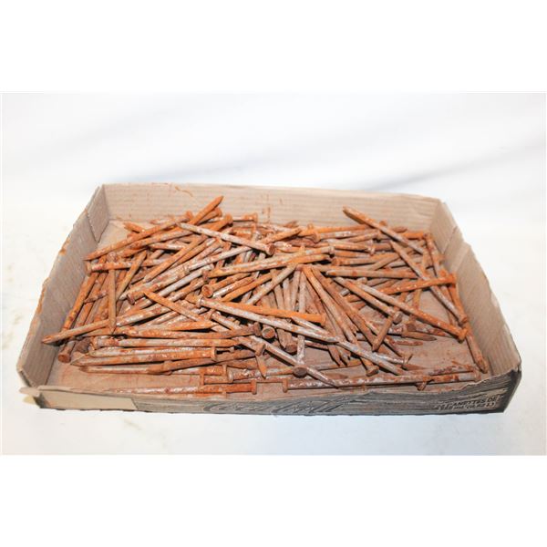 LARGE FLAT OF NAILS