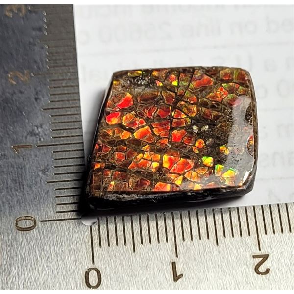 6)  RED FIRE 24 CT AMMOLITE GEMSTONE.