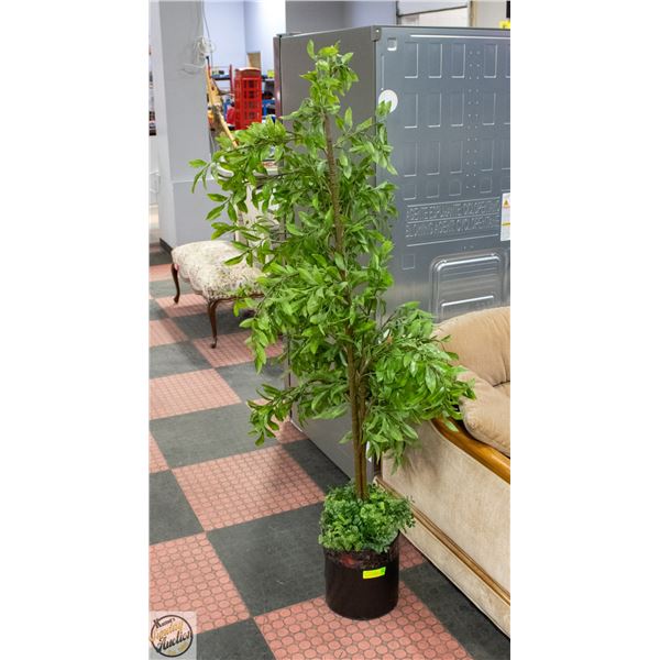 5 FT LIGHT GREEN PLANT IN BLACK POT