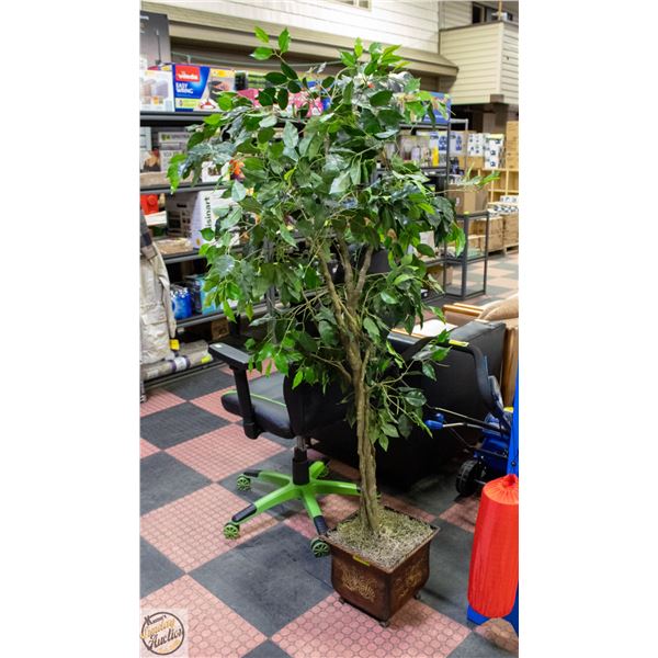6 FT FIG TREE IN SQUARE BRONZE TONE METAL POT