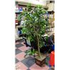 Image 1 : 6 FT FIG TREE IN SQUARE BRONZE TONE METAL POT