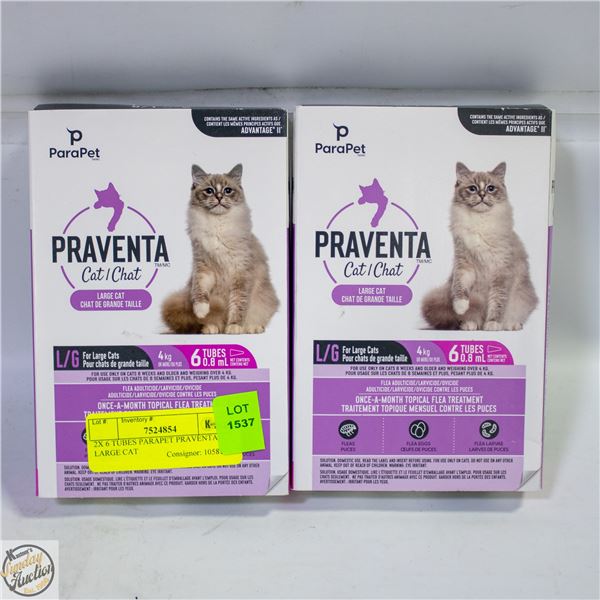 2X 6 TUBES PARAPET PRAVENTA LARGE CAT