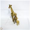 Image 1 : LOT OF 3 BRASS GIRAFFES 5" 6" & 11.5" TALL