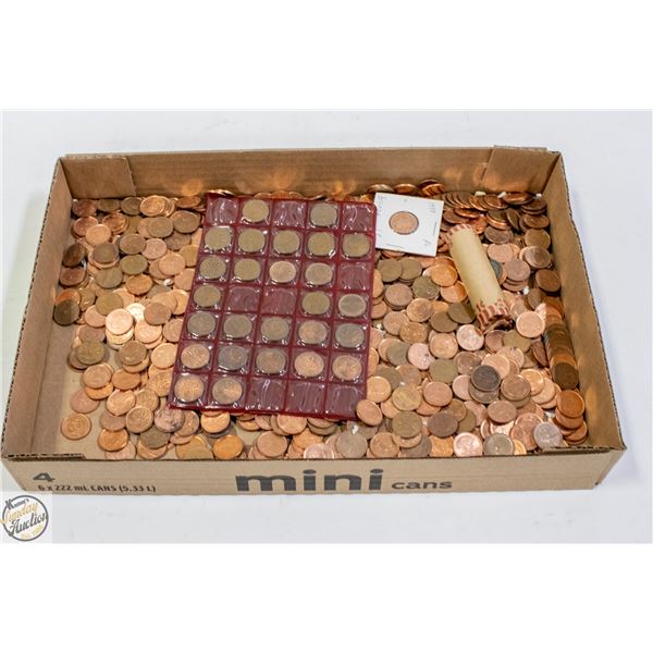 TRAY OF UNSEARCHED PENNIES