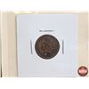 Image 3 : USA One Cent (7) : 1891; 1887; 1895; 1901; 1907; 1907; 1907