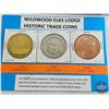 Image 3 : Collector Combo :  - RCM Canada Millennium Quarter Set 2000 - Canada Coins (30) Variety One Cent; Fi
