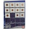 Image 25 : BINDER LOT - BULK BUY : USA One Cent (211 Coins) (Blue Binder) (Variety Intermittent : 1910's - 2000