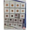 Image 30 : BINDER LOT - BULK BUY : USA One Cent (211 Coins) (Blue Binder) (Variety Intermittent : 1910's - 2000